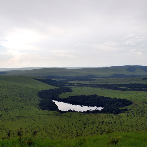Lesio Louna Reserve